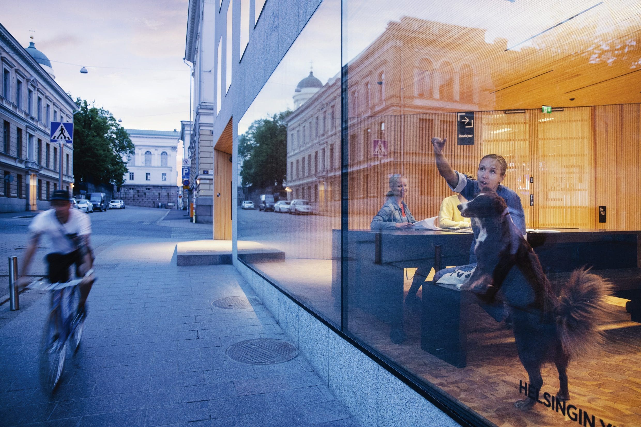 As a cyclist rides towards the camera on Yliopistonkatu, a woman inside Helsinki University's Think Corner points something out to her dog as it leans on a bench looking out the window.