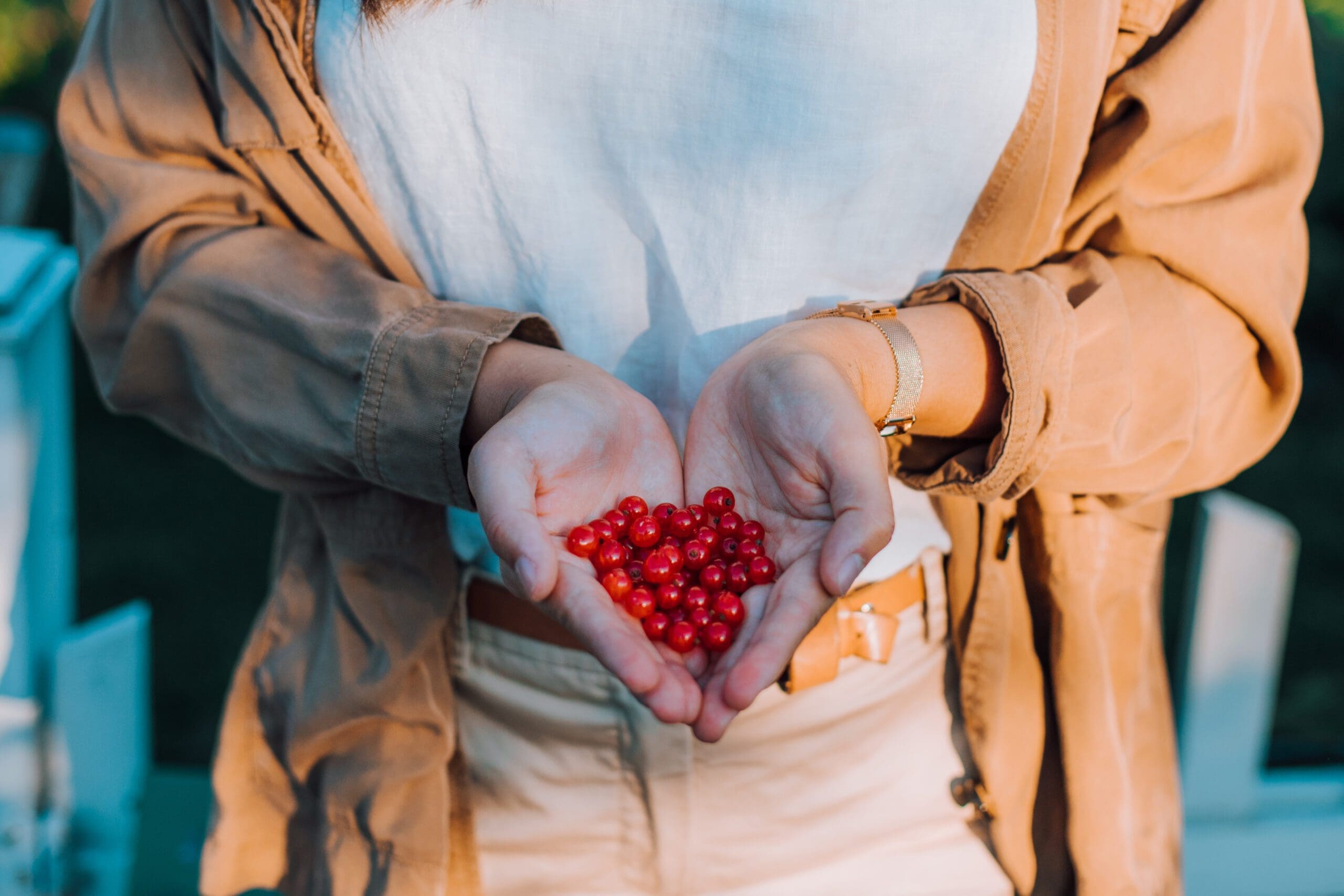 Person with a handful of berries 