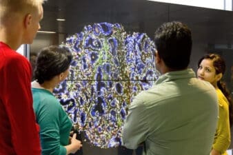 People watching a screen of molecules